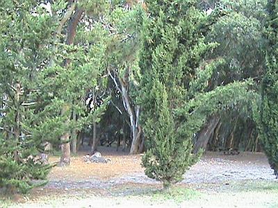 Vivero Cosme Argerich