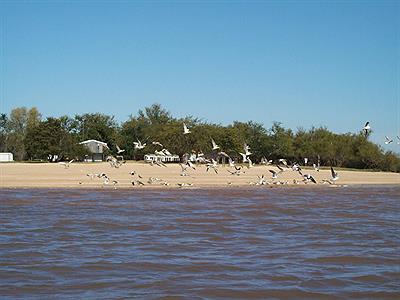 Excursiones fluviales