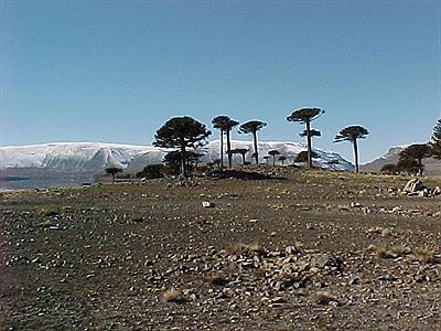 Futuro centro de interpretacion