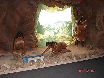 Museo Paleontologico