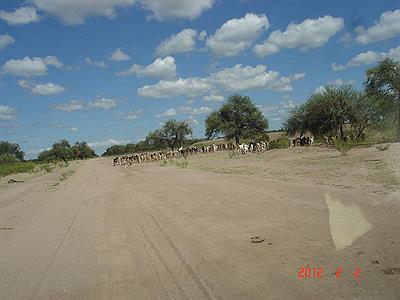 Ruta entre los tuneles y RN79 en La Rioja