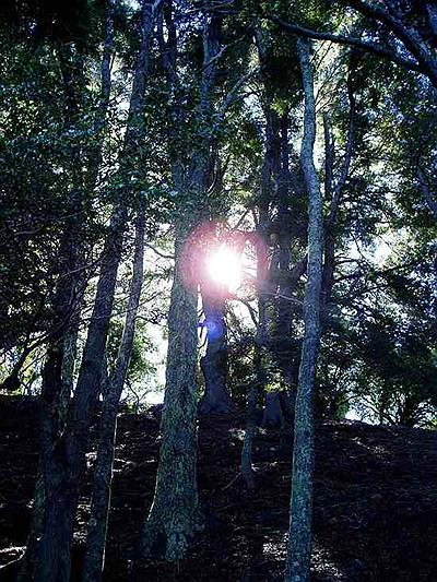 Título de la foto 3