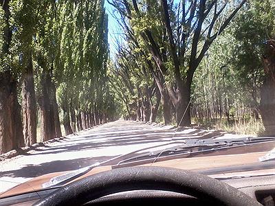 Camino a Villavicencio desde uspallata