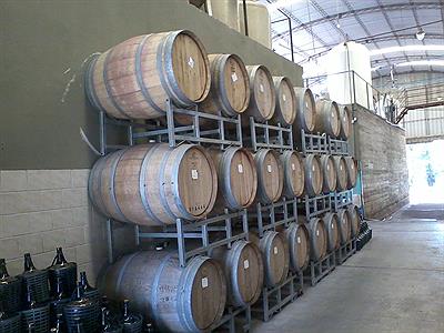 Bodega Massiero