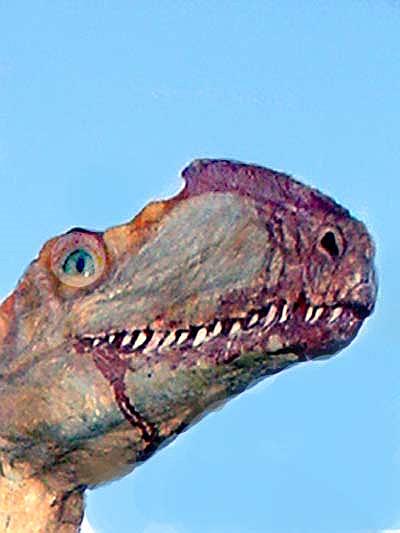 Zupaysaurus Riojano 2