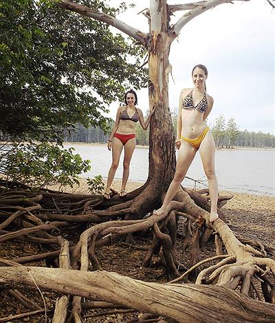 Isla frente a Las Palmeritas