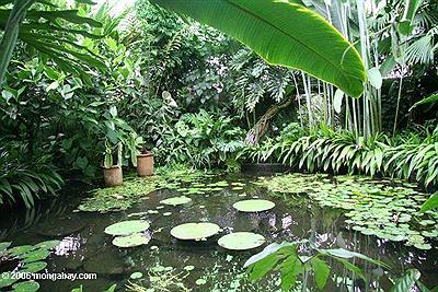 Jardín Botánico de Bogotá