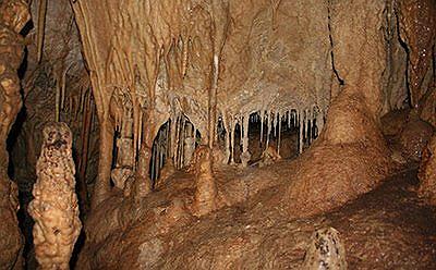 PNN Cueva de los Guácharos