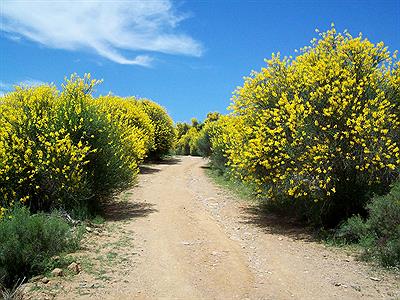Reserva Natural Sierra del Tigre