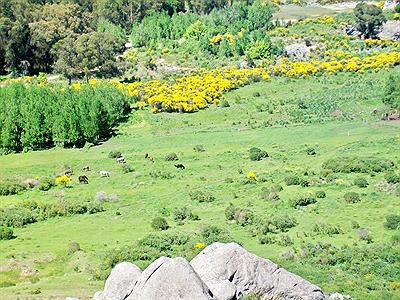 Reserva Sierras del Tigre