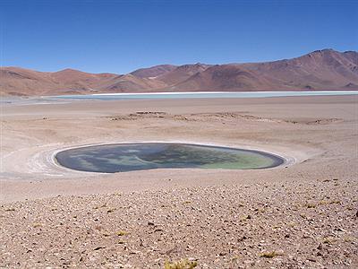 Dentro del crataer del Volcan Galan