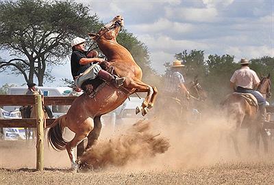 Festival Nacional de Doma y Folklore