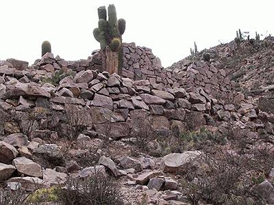 Antigal Ruta 9 Huacalera