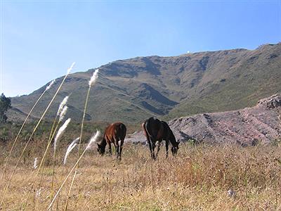 El Dragon - La Falda