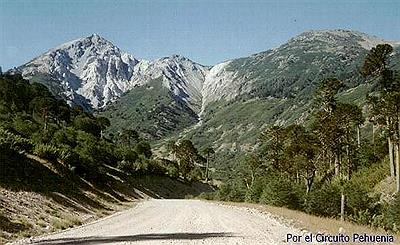 Circuito Pehuenia
