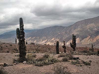 Antigal del Hornillos hacia Maimará