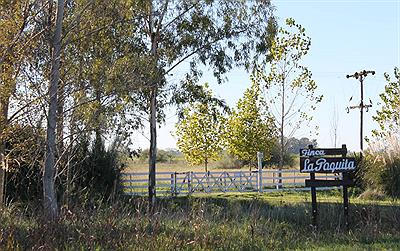 Finca La Paquita