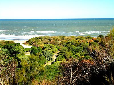 BALNEARIO - FEB. 2014  