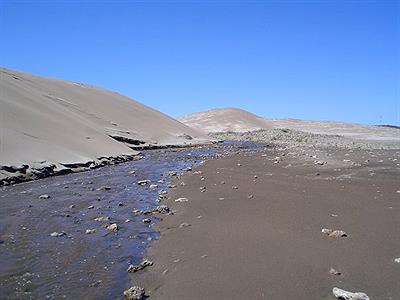 BALNEARIO - FEB. 2014  