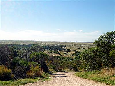 BALNEARIO - FEB. 2014  