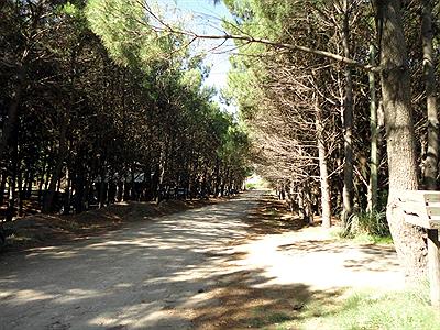 BALNEARIO - FEB. 2014  