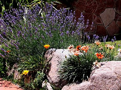 Jardín de Las Ardillas Cabañas y Suites