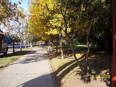 Paseo del Barrio de la Estación