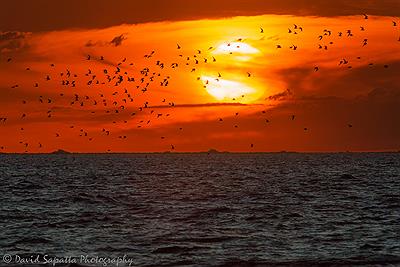Atardecer en Punta Rasa