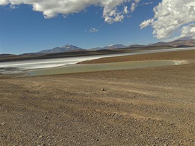Laguna Brava
