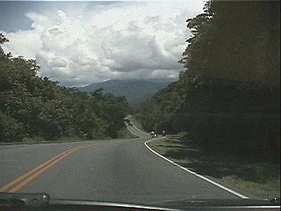 RP 307 - camino por la selva de Tafí