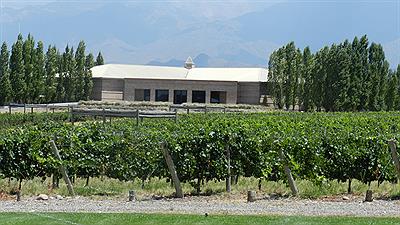 Tupungato - Bodega Salentein 