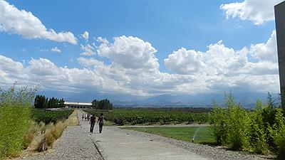 Tupungato - Bodega Salentein 