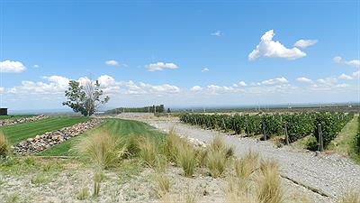 Tupungato - Bodega Salentein 