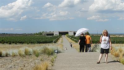 Tupungato - Bodega Salentein 