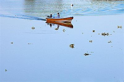 San Pedro, Pcia. de Buenos Aires.