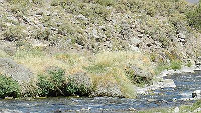 camino a valle Hermoso