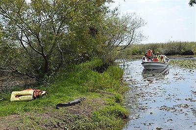Gobernador Virasoro, Los esteros del Ibera. Corrientes