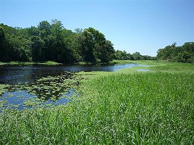 Laguna Panza de cabra.Parque Nacional Chaco