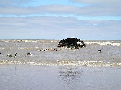 Restos del naufragio del ¨Mar del Sur¨
