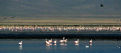 Laguna de los Pozuelos