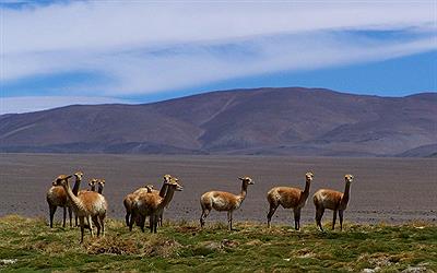 Parque Nacional San Guillermo