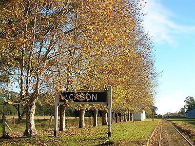 Otoño en Cazón, Pueblo del Millón de árboles