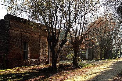 Otoño en Uribelarrea