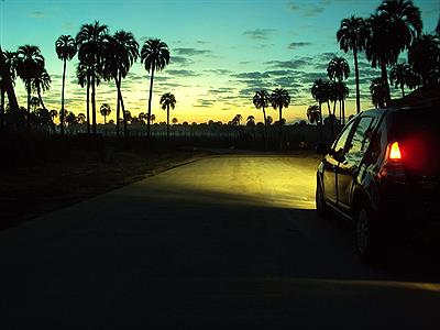 En Parque Nacional El Palmar.