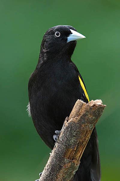 Reserva Educativa Colonia Benítez