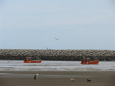 Regreso de los pesqueros a puerto.