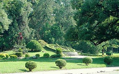 Tucuman: Reloj Floral