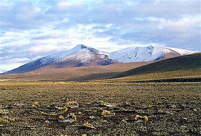 Parque Nacional Campo de los Alisos