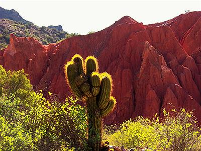 Encantos de Famatina