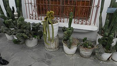 Museo Rafael Larco Herrera 